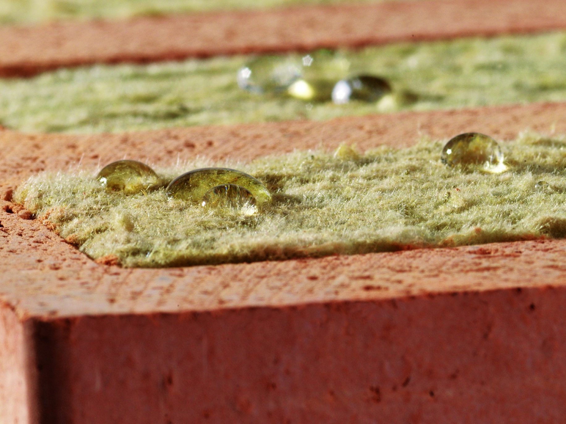 Cihla Porotherm T Profi s kapkami vody na povrchu | Optimální práce s vlhkostí